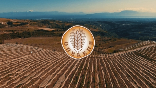 Θεσμικά ακάλυπτοι οι Ελεγκτές από ΕΛΓΑ, ΕΛΓΟ & ΕΦΕΤ στον ΟΠΕΚΕΠΕ - ΑΑΔΕ